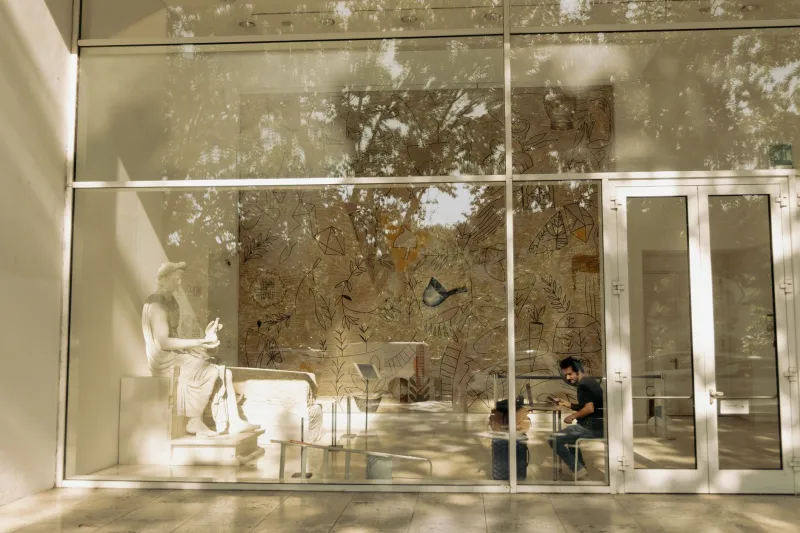 Walls That Speak Worlds: How US Museums Are Rewriting the Commission Model by Investing in International Artistic Vision